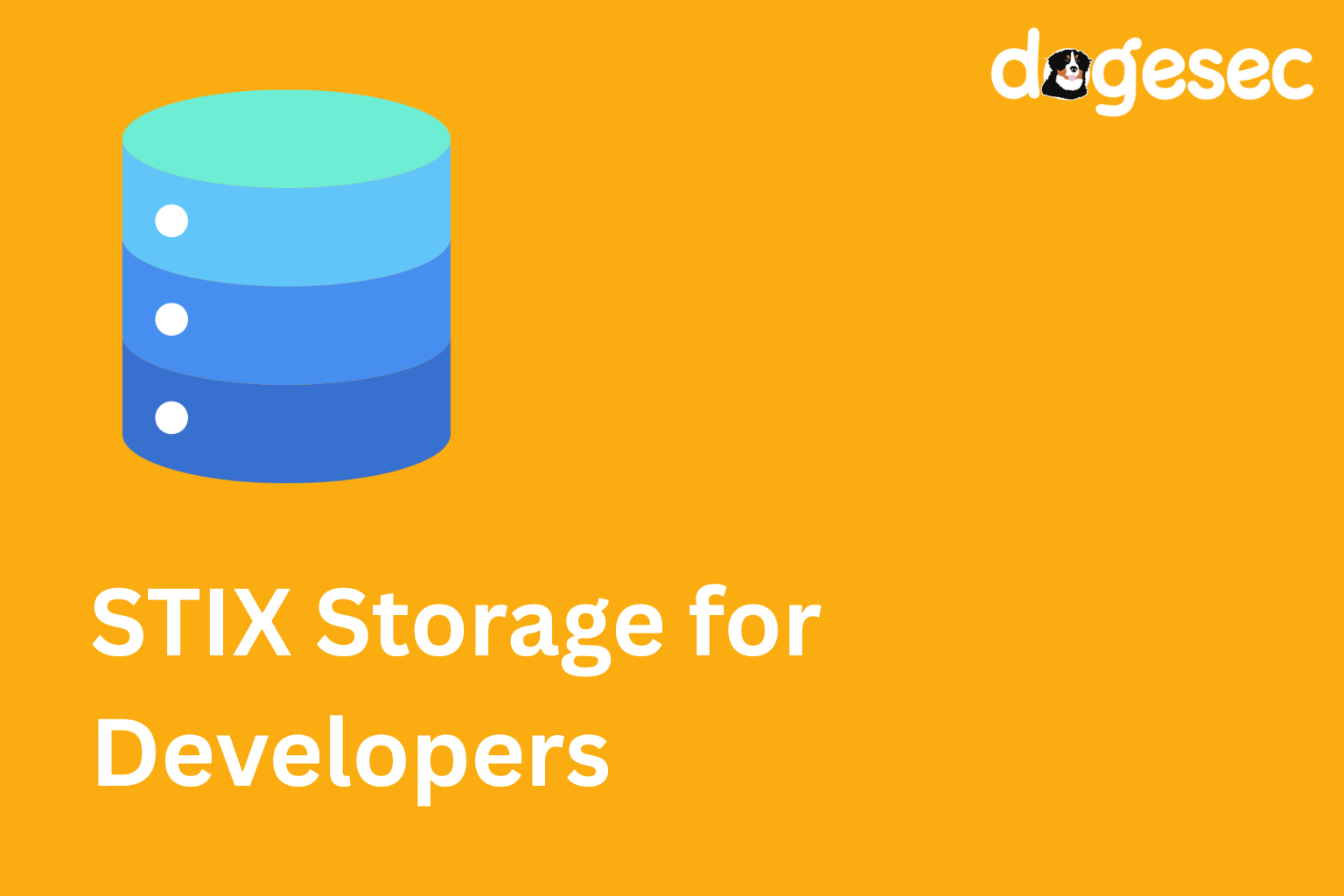 STIX Storage for Developers: Memory, Files, and Databases